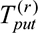 BHTY-8-455-I1.jpg